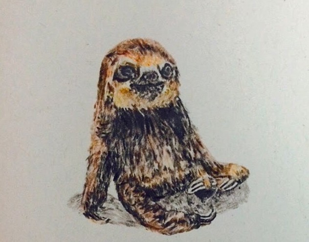 Drawing of a sloth